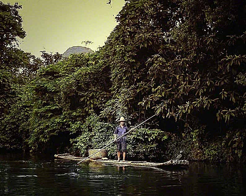 brokerline.cfd Cormorant Fisherman