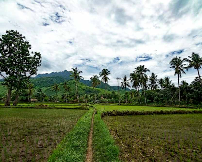 brokerline.cfd Probolinggo Life