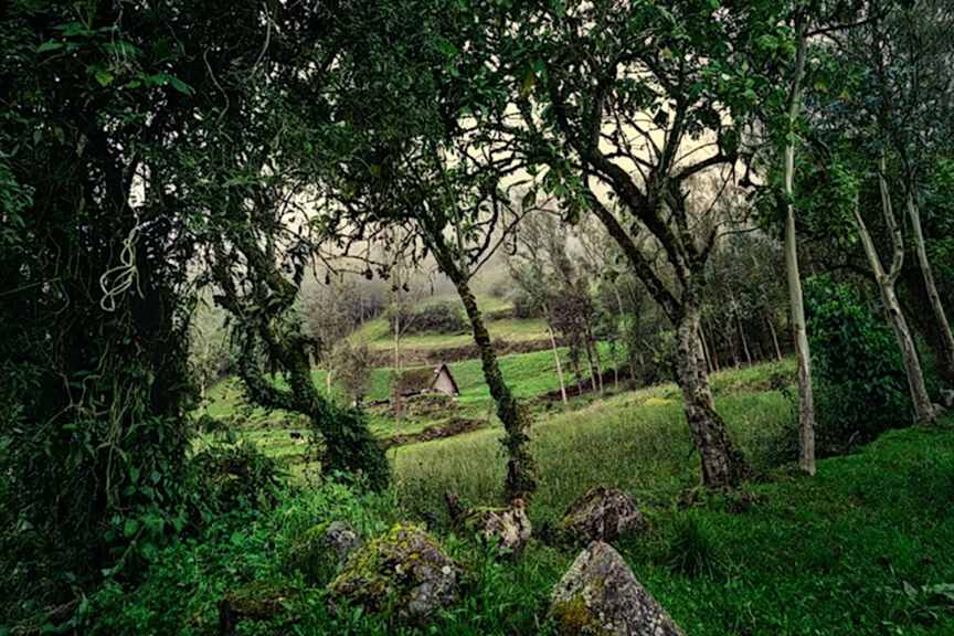 Intentionally Lost Hills of Pillaro