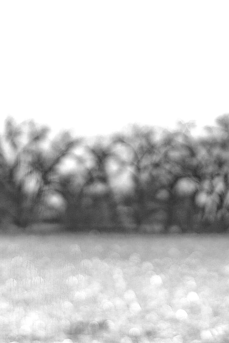 Exhibition Prints for Purchase