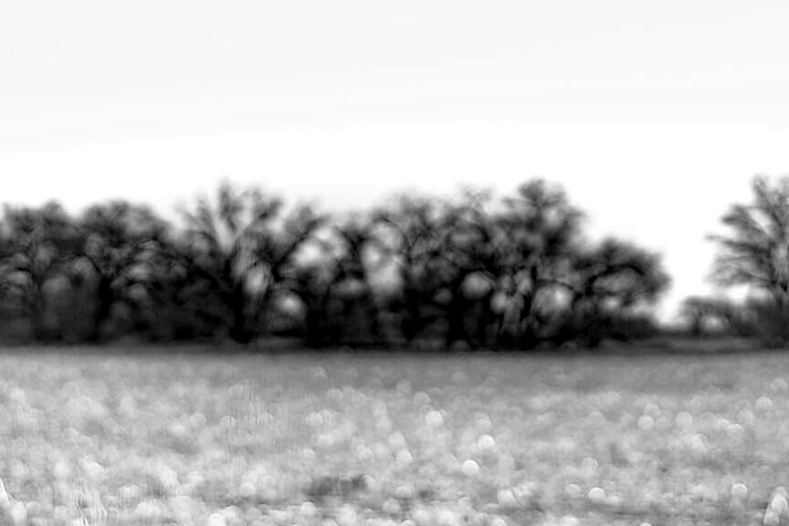 Intentionally Lost What is Known