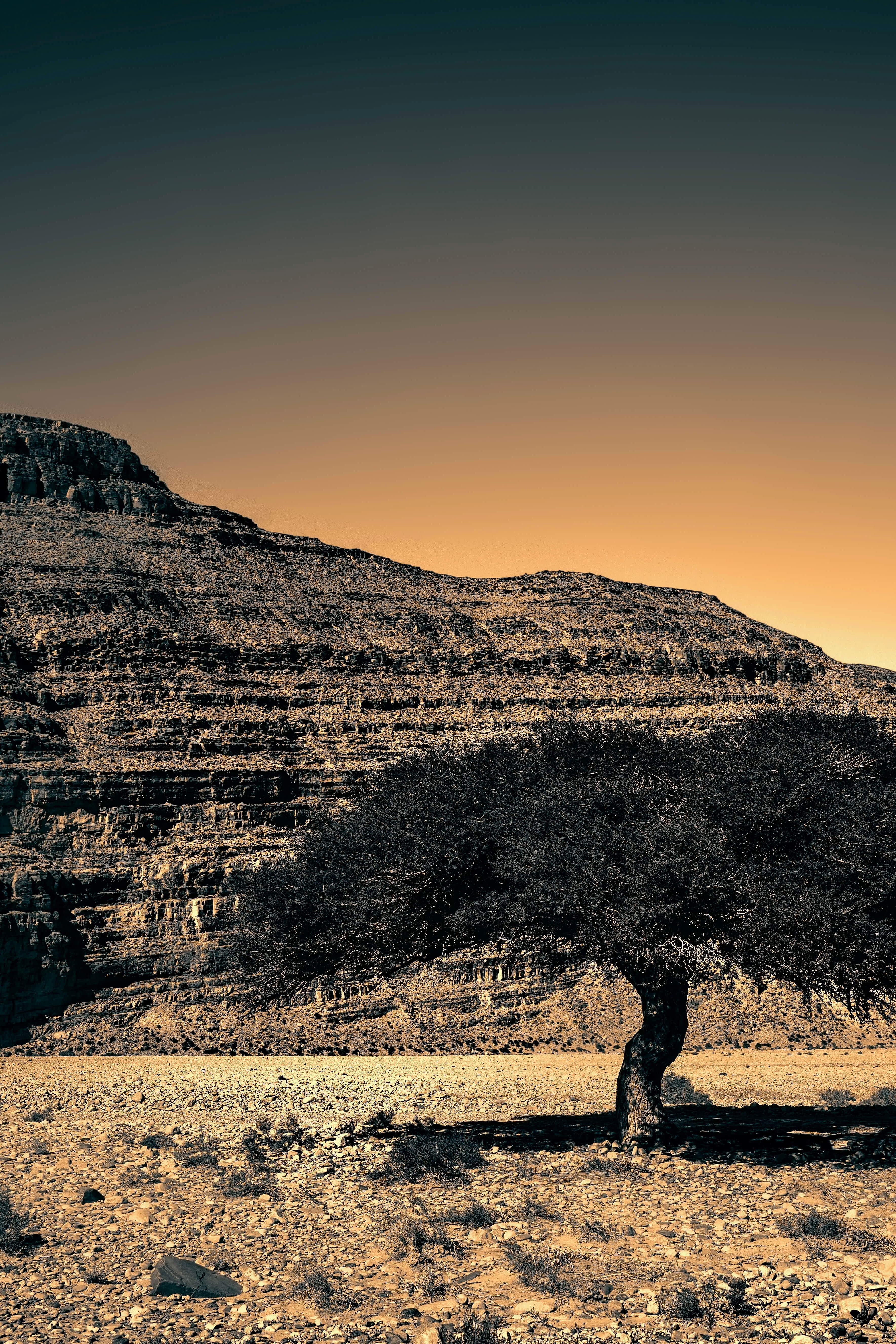 Photo Versions for Designers