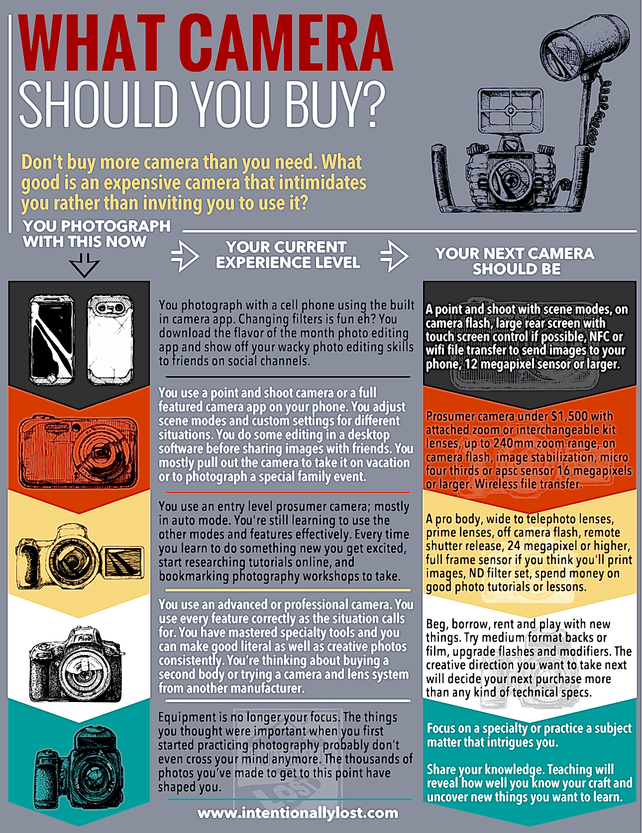 What camera should you buy - a growth progression from hobbyist to professional photographer