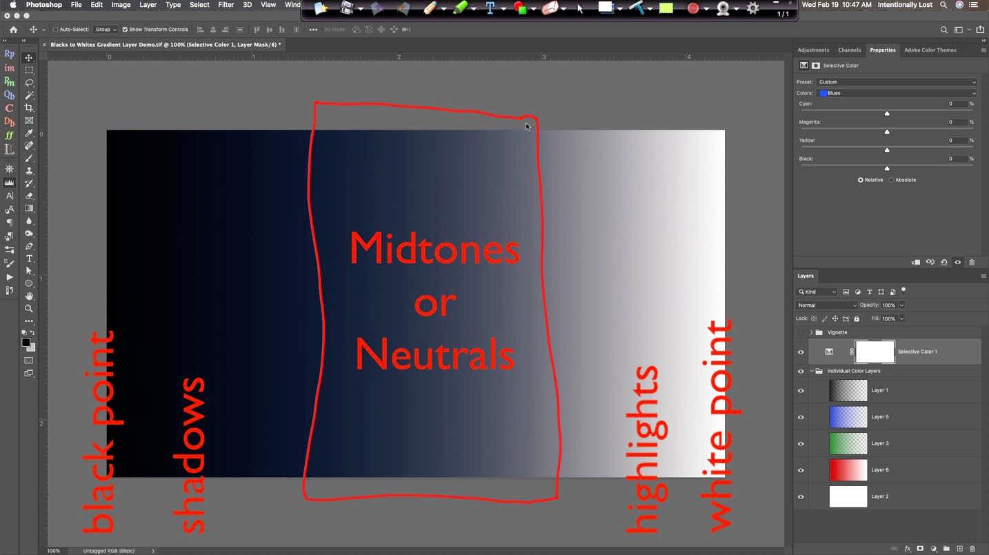 Difference between blacks, shadows, midtones, highlights and whites in an image #intentionallylost