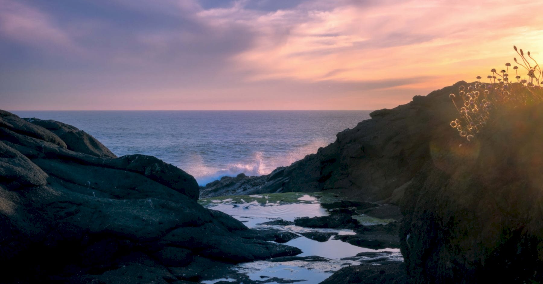 Oregon Coast tide pool #intentionallylost