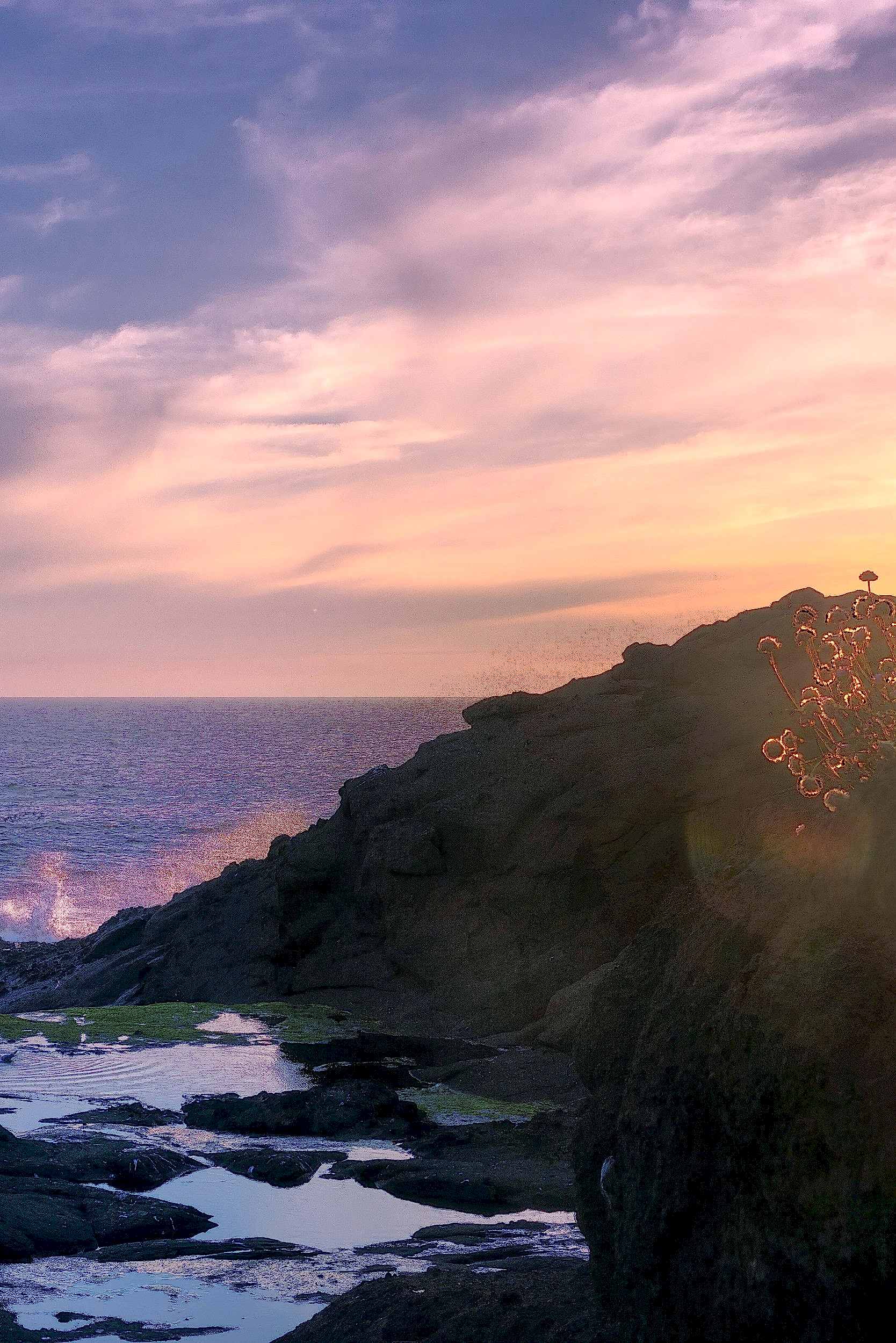 Oregon Coast Tide Pools