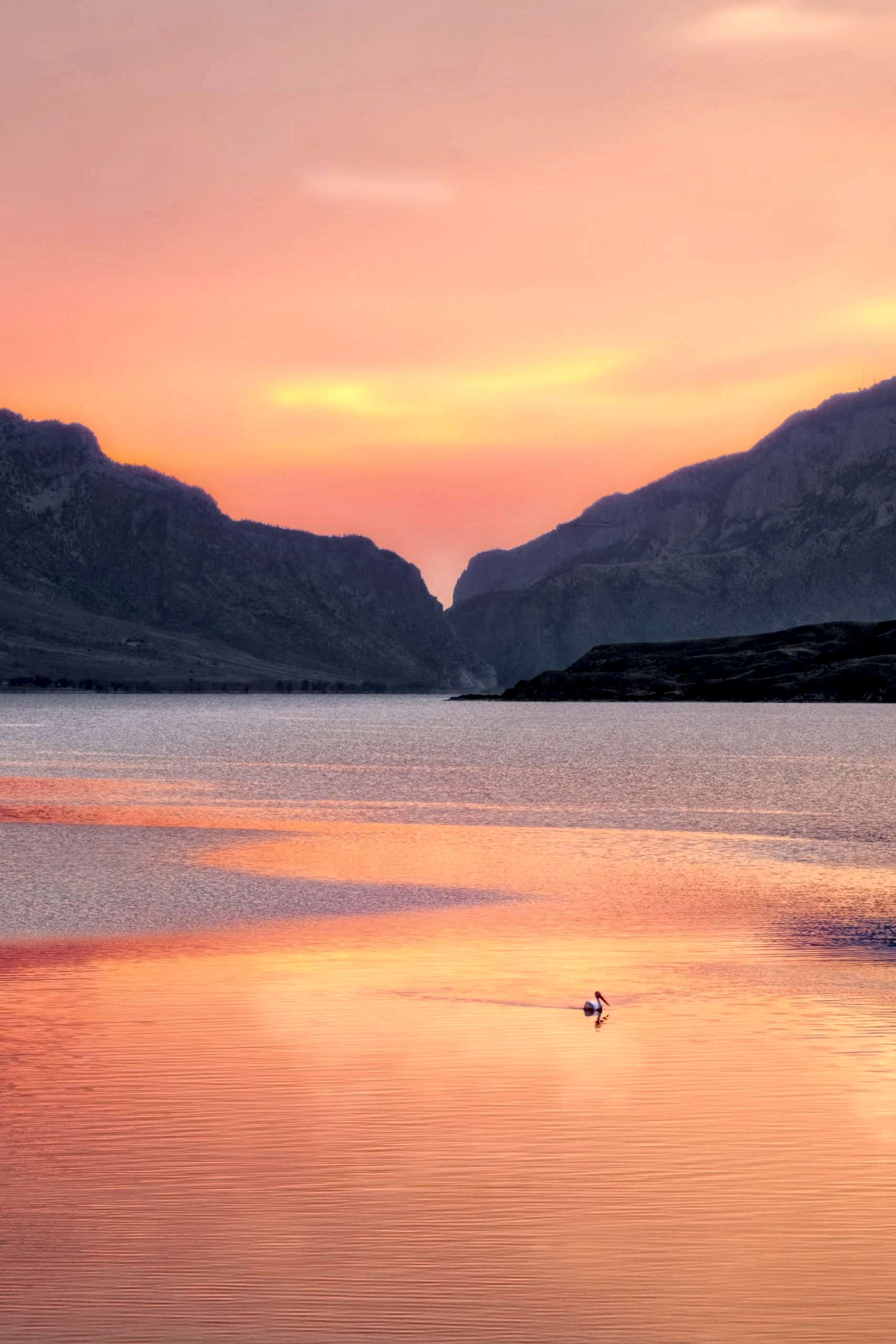 Artistic Photography Styles