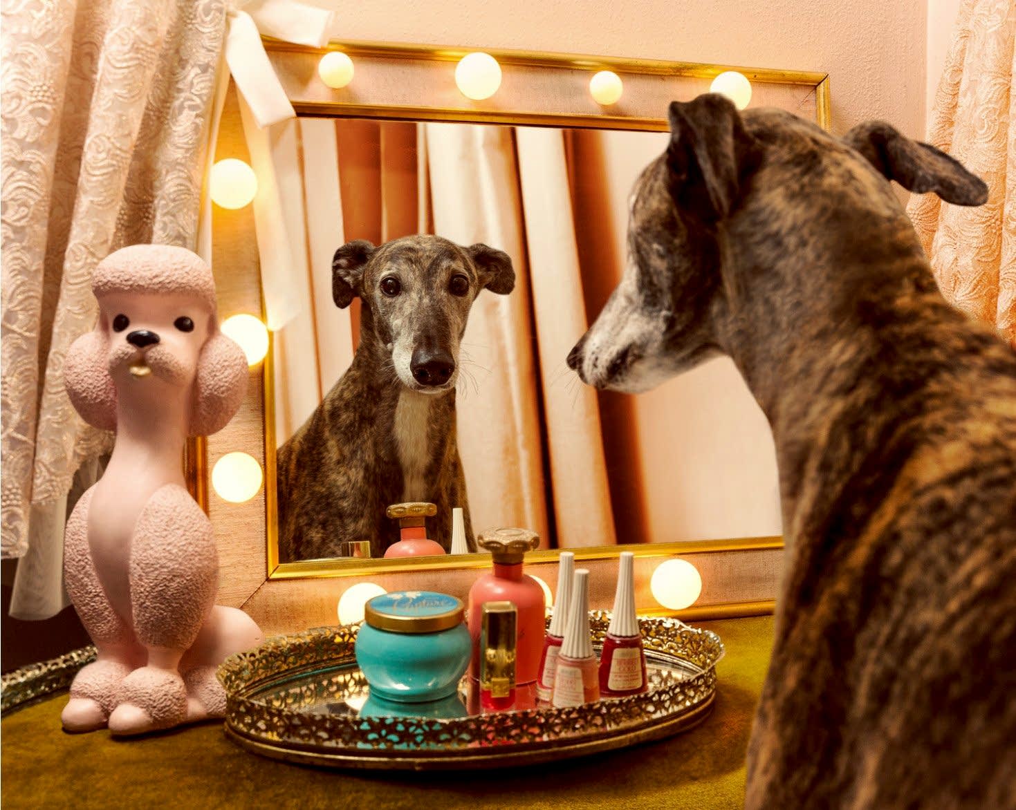 Artist Credit - Holly Andres