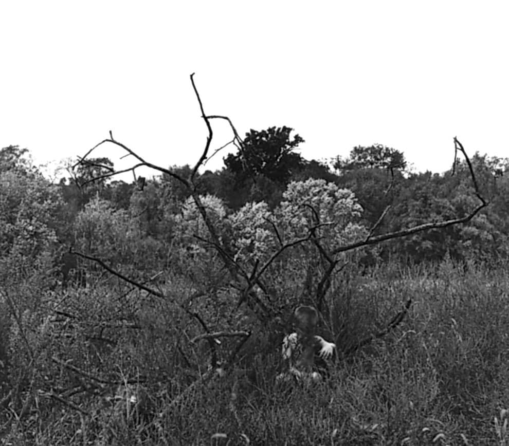 Artist - Ralph Eugene Meatyard