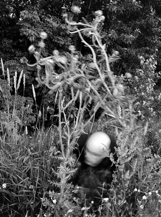 Artist Credit - Russell Joslin